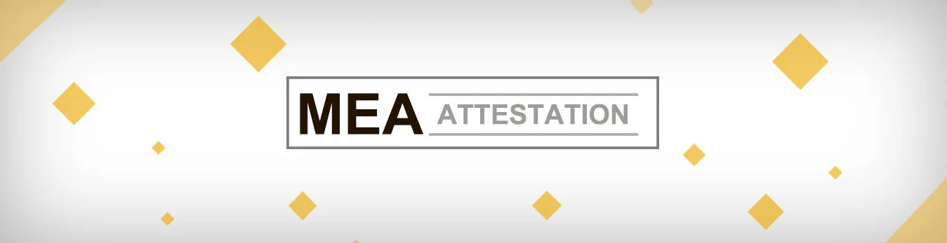 MEA-Attestation