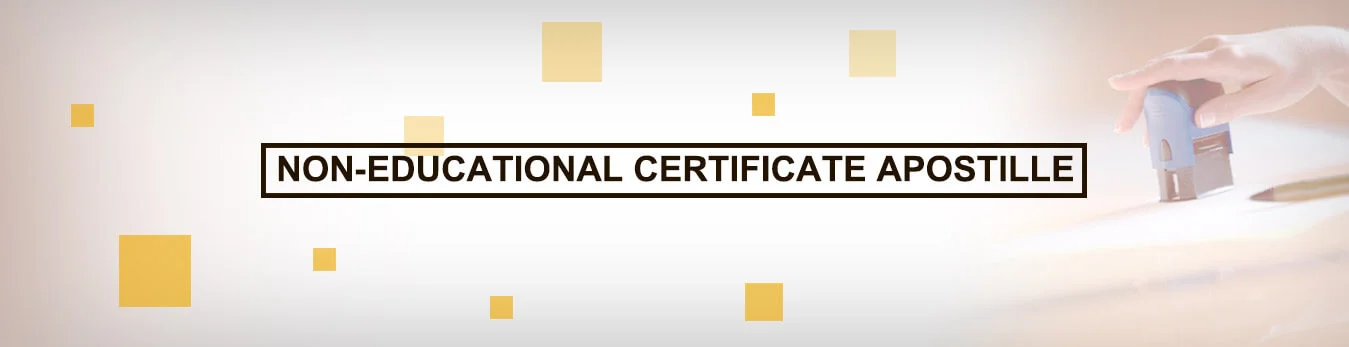 NON-EDUCATIONAL CERTIFICATE APOSTILLE